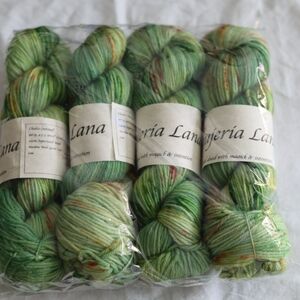Brujeria Lana worsted yarn four skeins